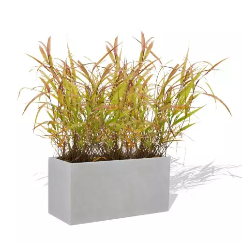 Szaro betonowa donica D834 z trawą ozdobną